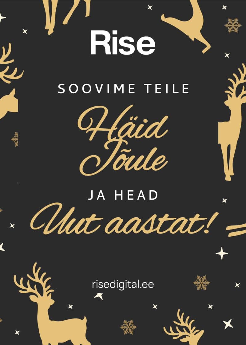 Rahulikku jõuluaega ja edukat uut aastat!